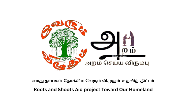 Logo 4